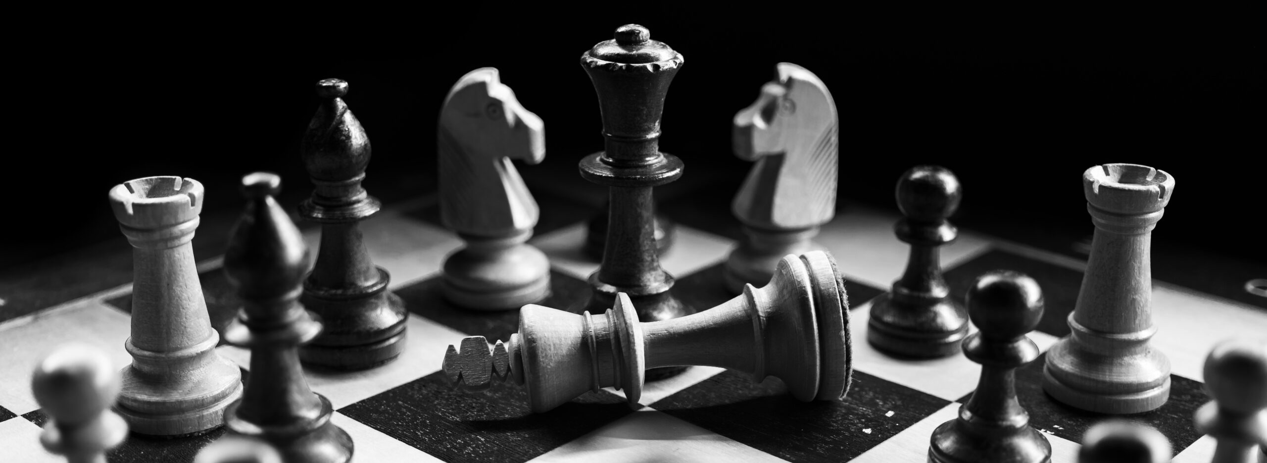 Ibis Stratégiques apporte une vision stratégique et vous accompagne en marketing produit