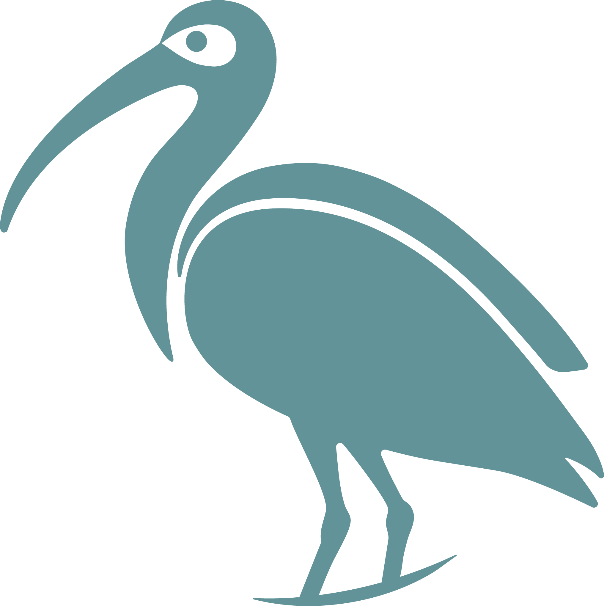 Ibis Stratégies vous accompagne en marketing stratégique et produit