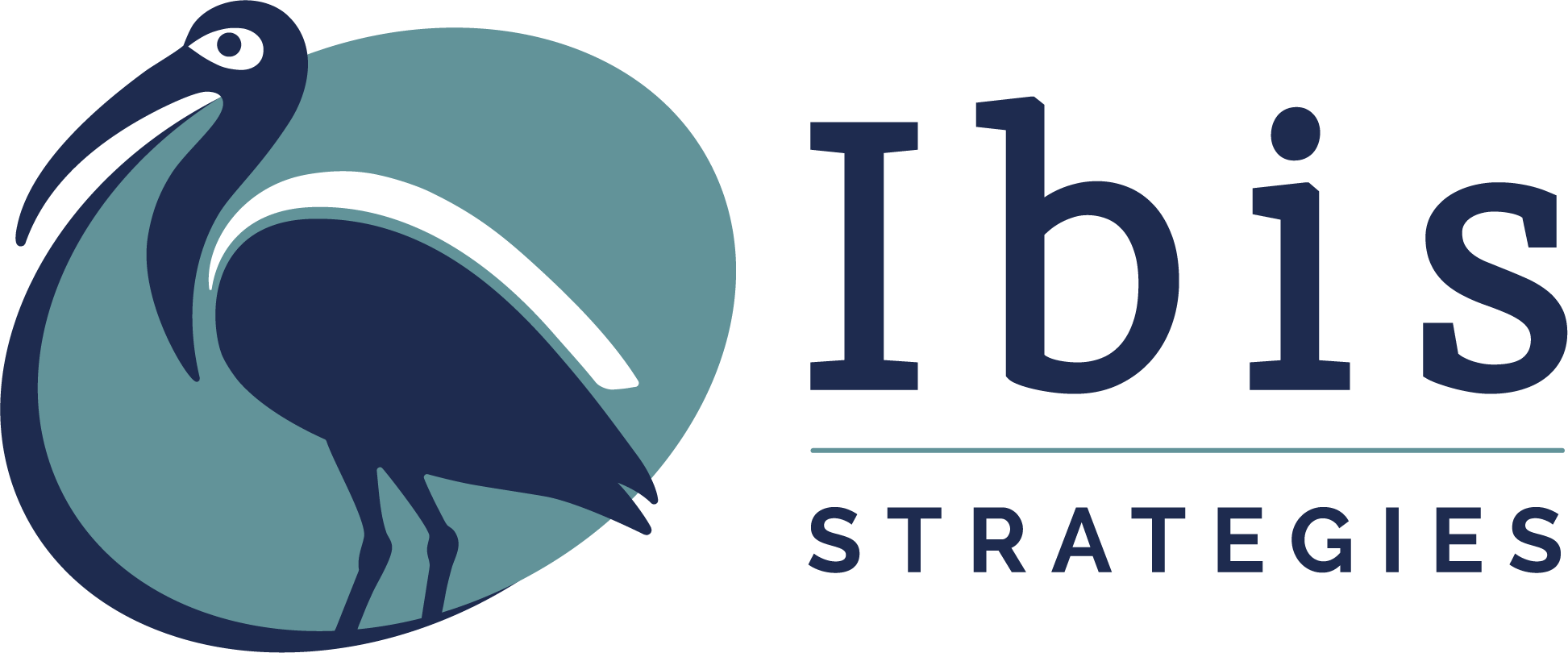 Ibis Stratégies vous aide à transformer vos idées en stratégies marketing et produit différenciantes, performantes et durables.