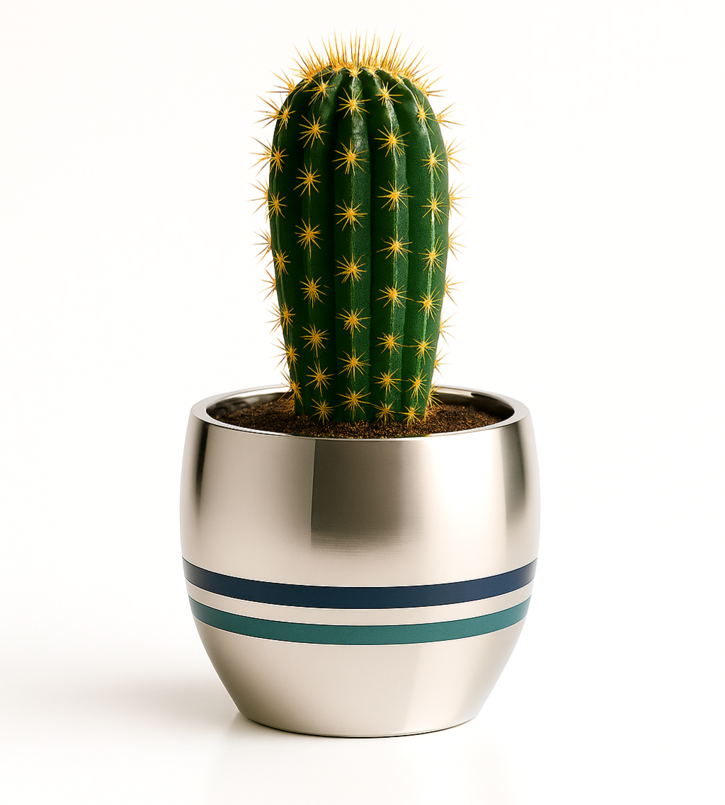 Ibis Stratégies vous accompagne et vous aide à relever vos défis.